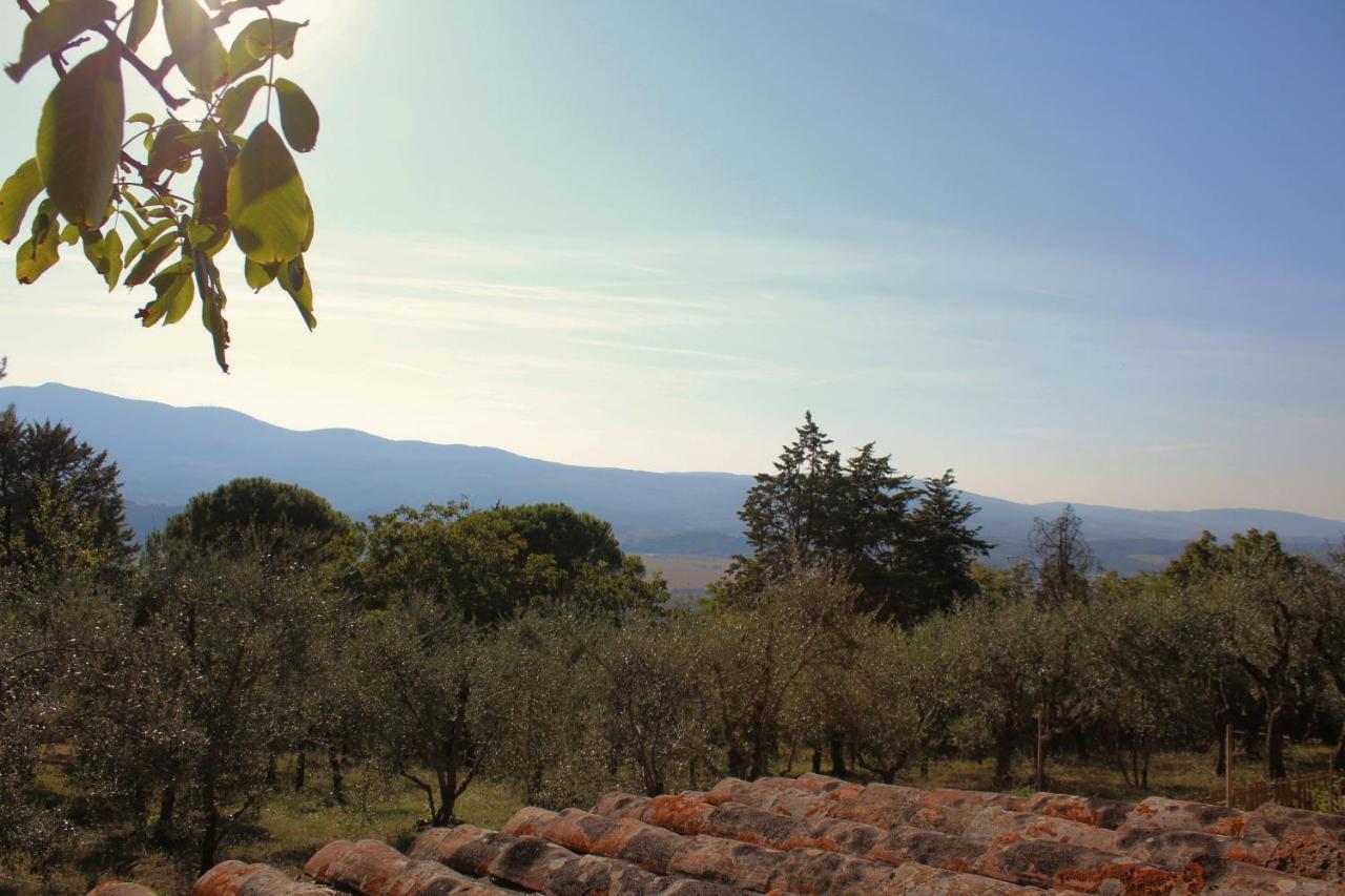 Il Nuvoloso Città della Pieve Esterno foto